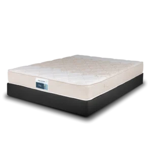 سيتي انجلندر