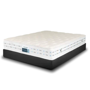 مرتبة دريمز