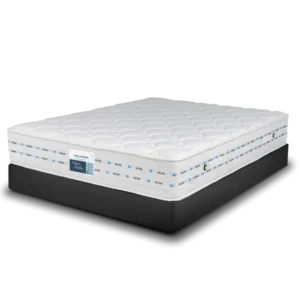 مرتبة فيسكوبيدك